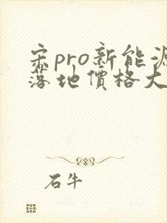 宋pro新能源落地价格大概在多少钱
