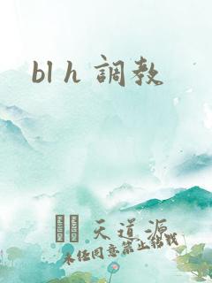 bl h 调教