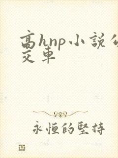 高hnp小说公交车