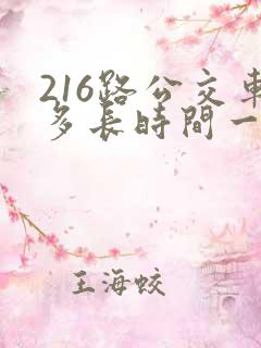 216路公交车多长时间一趟