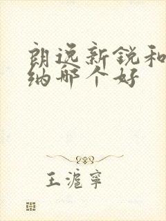 朗逸新锐和桑塔纳哪个好 朗逸新锐和桑塔纳哪个好