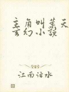 主角叫叶天命的玄幻小说
