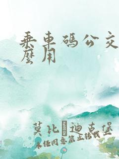 乘车码公交车怎么用