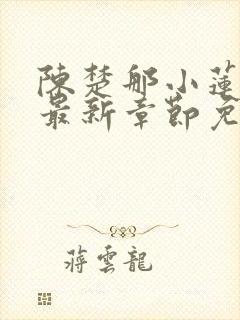 陈楚那小莲小说最新章节免费阅读