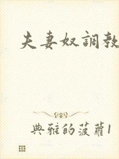 夫妻奴调教文