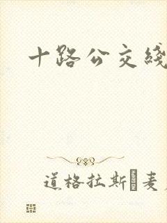 十路公交线路