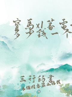 宝马x1蓄电池多少钱一个