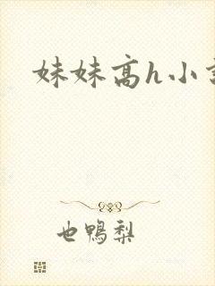 妹妹高h小说