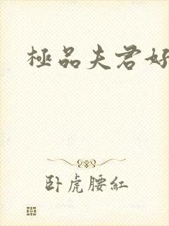 极品夫君好又多