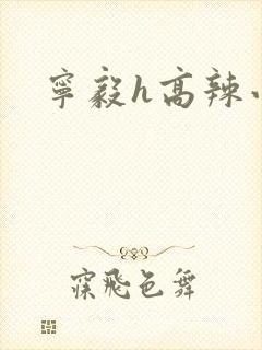 宁毅h高辣小说