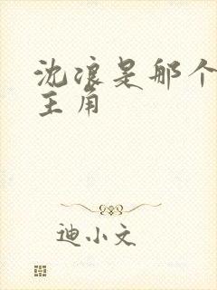沈浪是那个小说主角