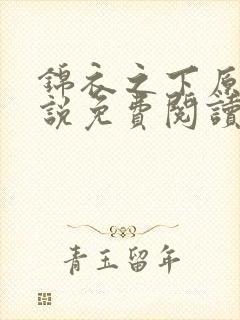 锦衣之下原著小说免费阅读