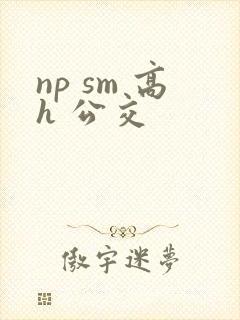 np sm 高h 公交