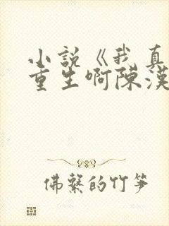 小说《我真没想重生啊陈汉升》