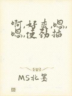 啊,好爽,嗯,嗯,使劲插 啊,好爽,嗯,嗯,使劲插