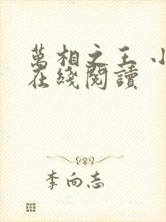 万相之王 小说在线阅读