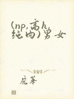 (np,高h,纯肉)男女