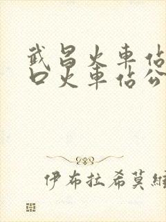 武昌火车站到汉口火车站公交