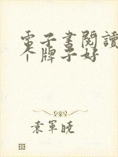 电子书阅读器哪个牌子好