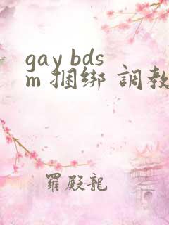 gay bdsm 捆绑 调教 男奴