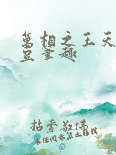 万相之王天蚕土豆笔趣