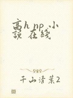 高h np 小说 在线
