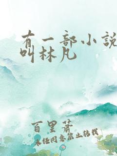 有一部小说主角叫林凡
