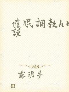 催眠调教h肉小说