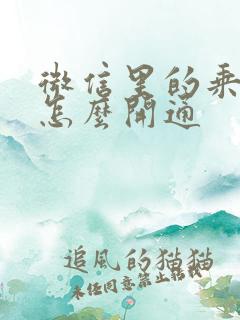 微信里的乘车码怎么开通