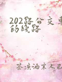 202路公交车的线路
