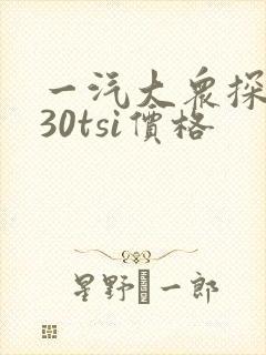 一汽大众探岳330tsi价格 一汽大众探岳330tsi价格