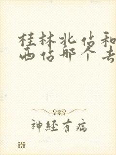 桂林北站和桂林西站哪个去漓江方便