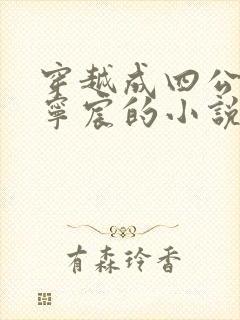 穿越成四公子叫宁宸的小说
