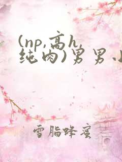 (np,高h,纯肉)男男小说