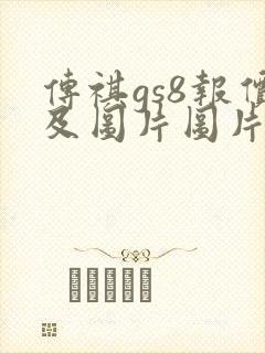 传祺gs8报价及图片图片