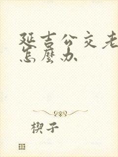 延吉公交老年卡怎么办