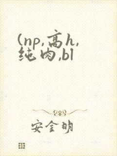 (np,高h,纯肉,bl