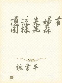 顶流夫妇有点甜图样先森