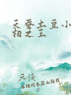 天蚕土豆小说万相之王