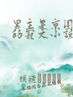 男主是京圈大佬的宠文小说