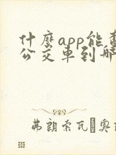 什么app能查公交车到哪了