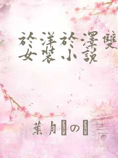 于洋于泽双男主女装小说