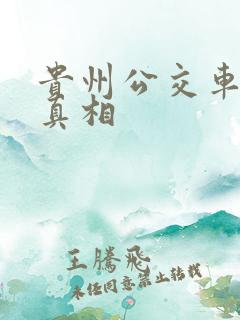 贵州公交车事件真相