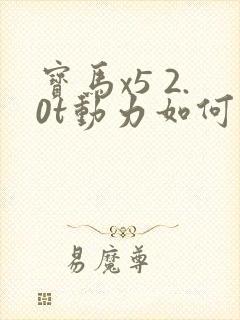 宝马x5 2.0t动力如何