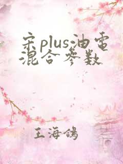 宋plus油电混合参数 宋plus油电混合参数