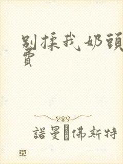 别揉我奶头嗯免费