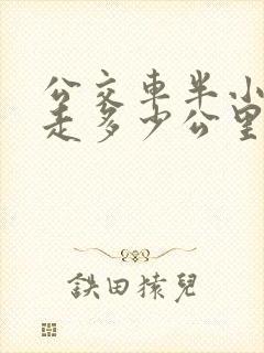 公交车半小时能走多少公里