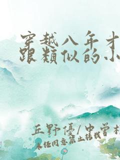 穿越八年才出道跟类似的小说