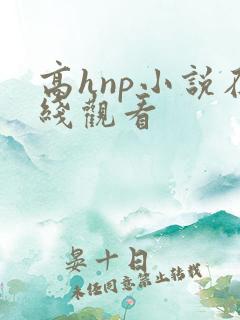 高hnp小说在线观看