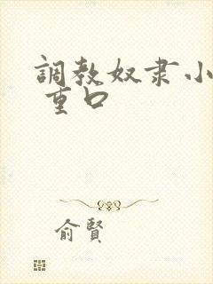 调教奴隶小说虐 重口